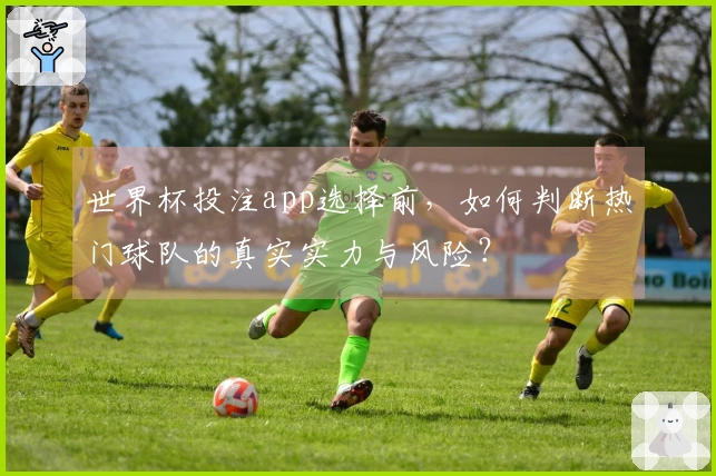 世界杯投注app选择前，如何判断热门球队的真实实力与风险？