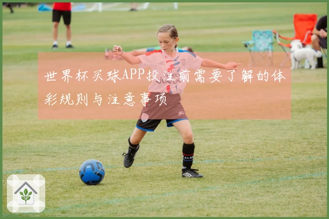 世界杯买球APP投注前需要了解的体彩规则与注意事项