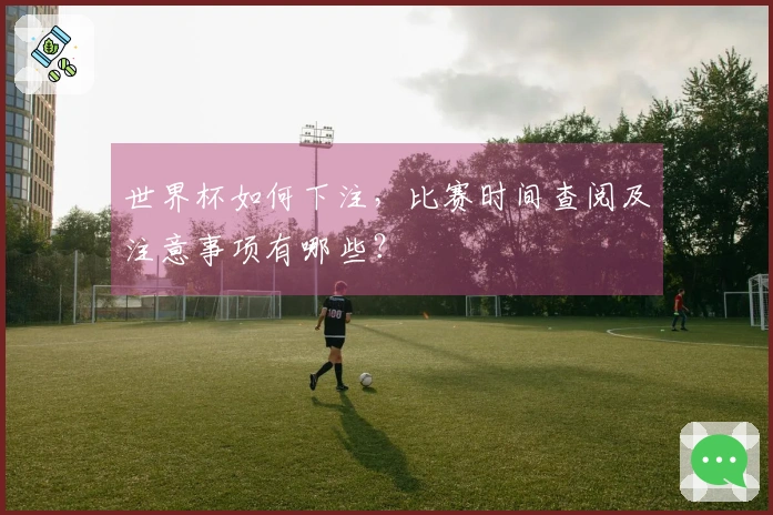世界杯如何下注，比赛时间查阅及注意事项有哪些？