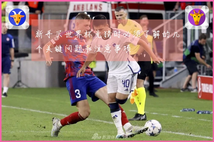新手买世界杯竞猜时必须了解的几个关键问题和注意事项