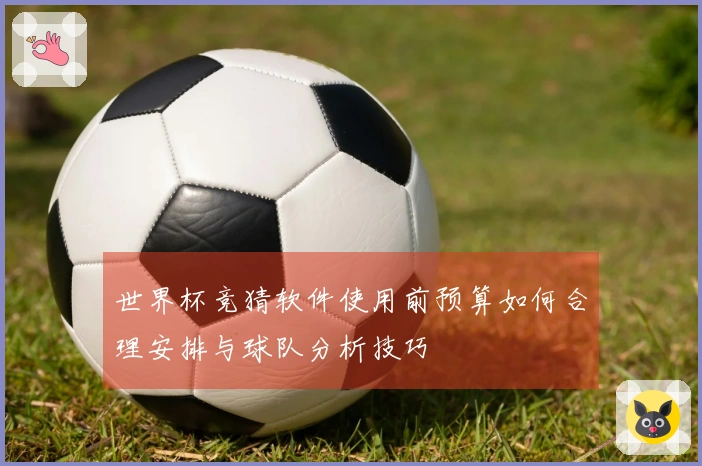 世界杯竞猜软件使用前预算如何合理安排与球队分析技巧