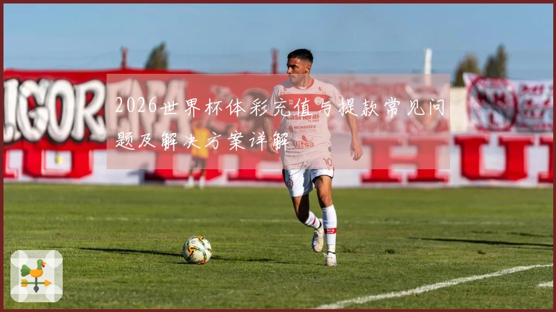 2026世界杯体彩充值与提款常见问题及解决方案详解